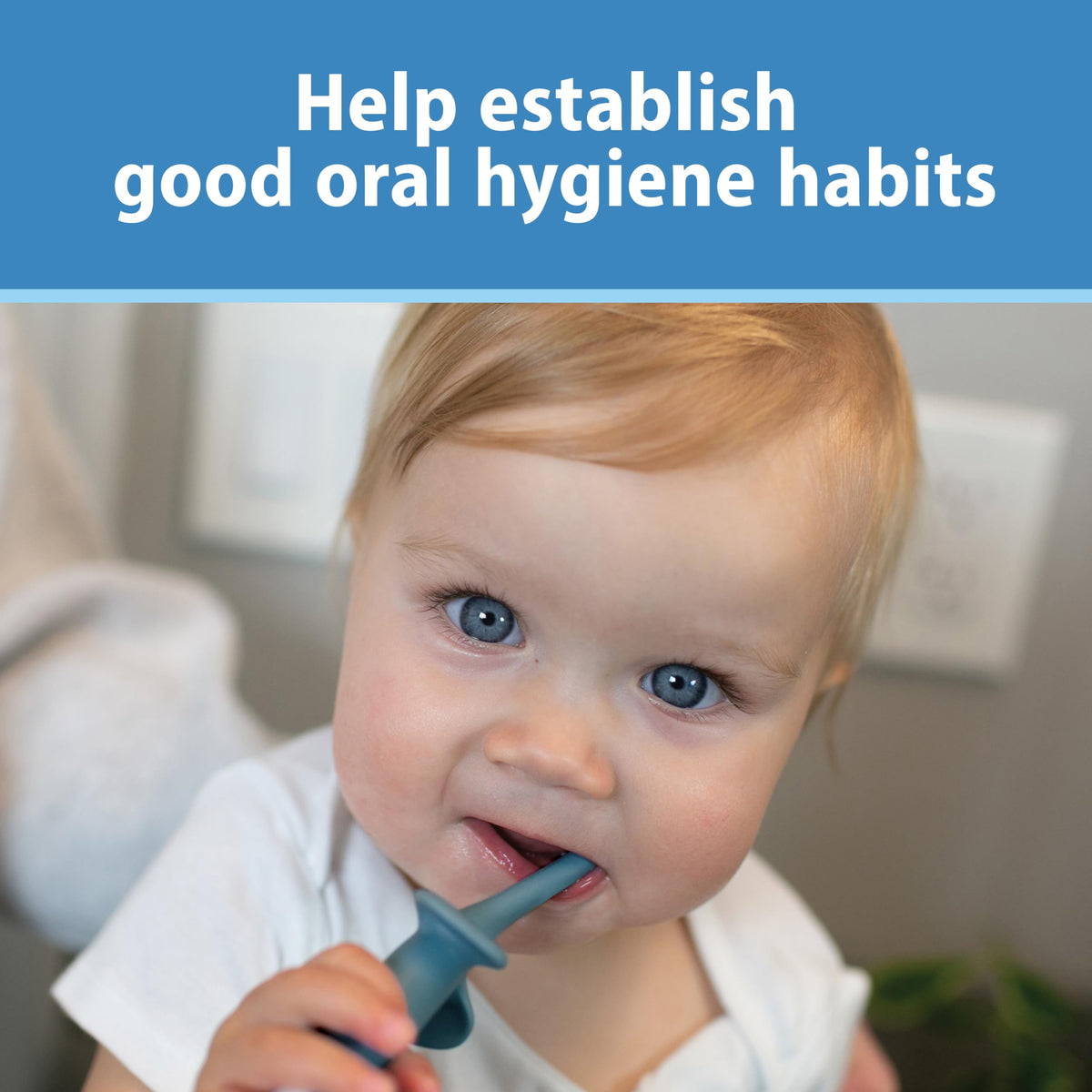 Dr. Brown's Infant-to-Toddler Toothbrush